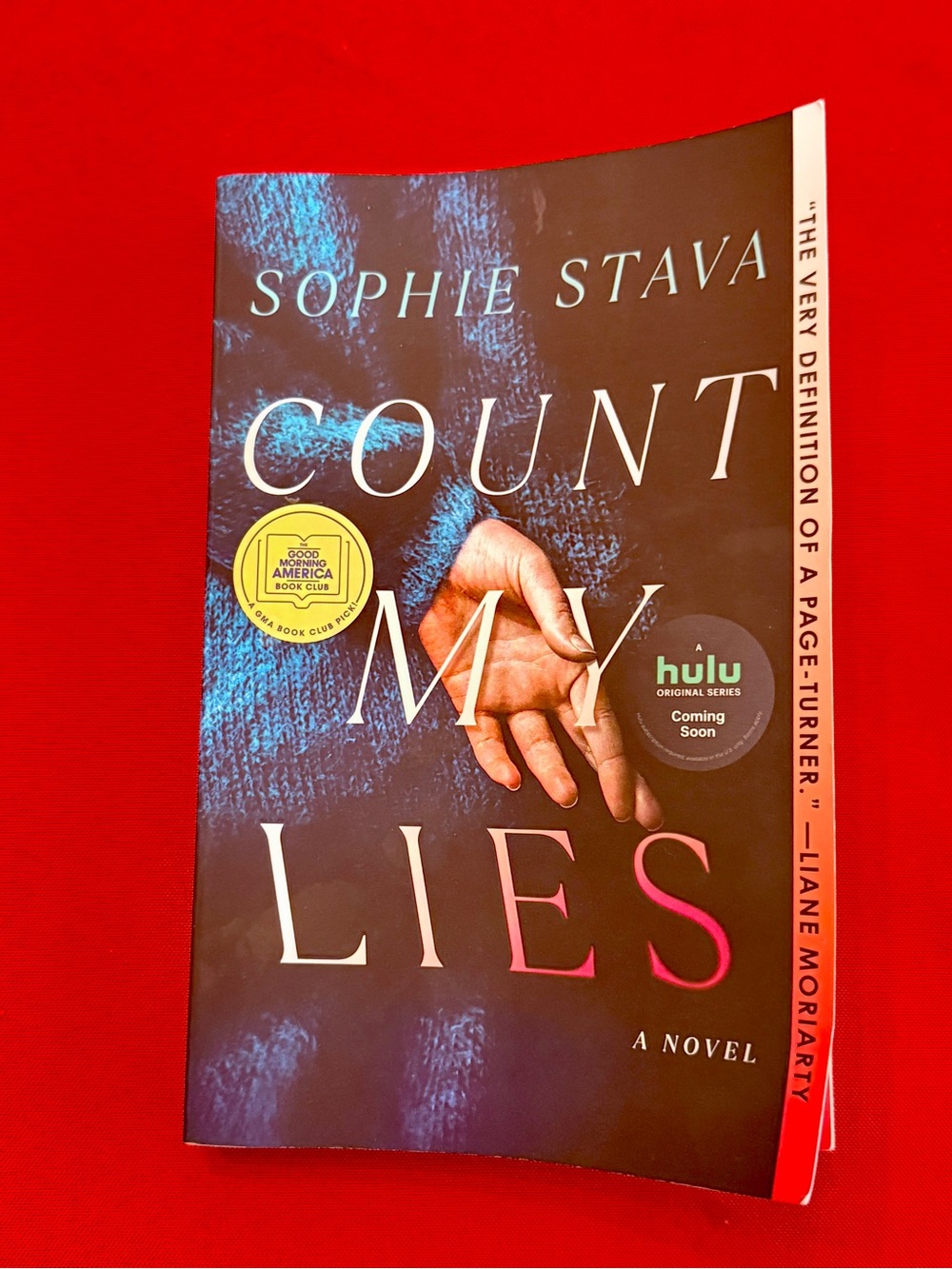 Count My Lies Book - A Novel - By Sophie Stava